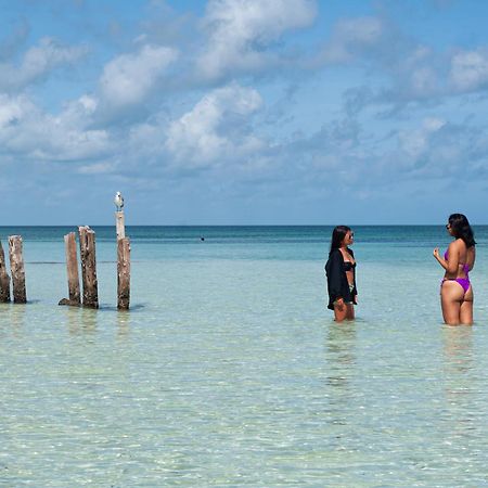 Golden Paradise Beachfront Isla Holbox Exterior photo
