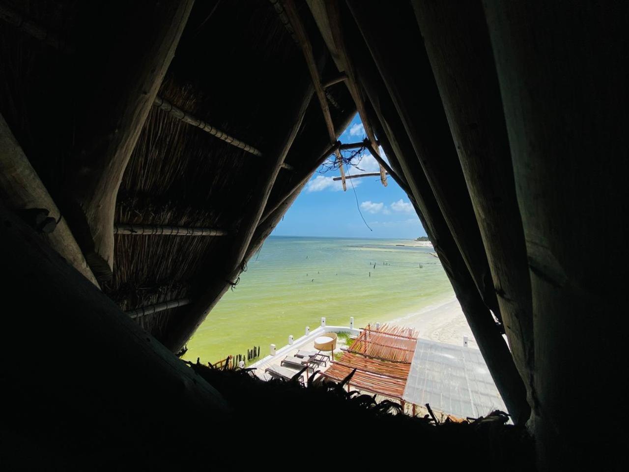 Golden Paradise Beachfront Isla Holbox Exterior photo