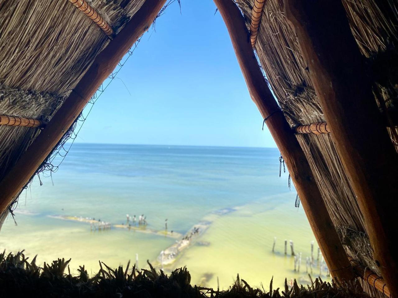 Golden Paradise Beachfront Isla Holbox Exterior photo