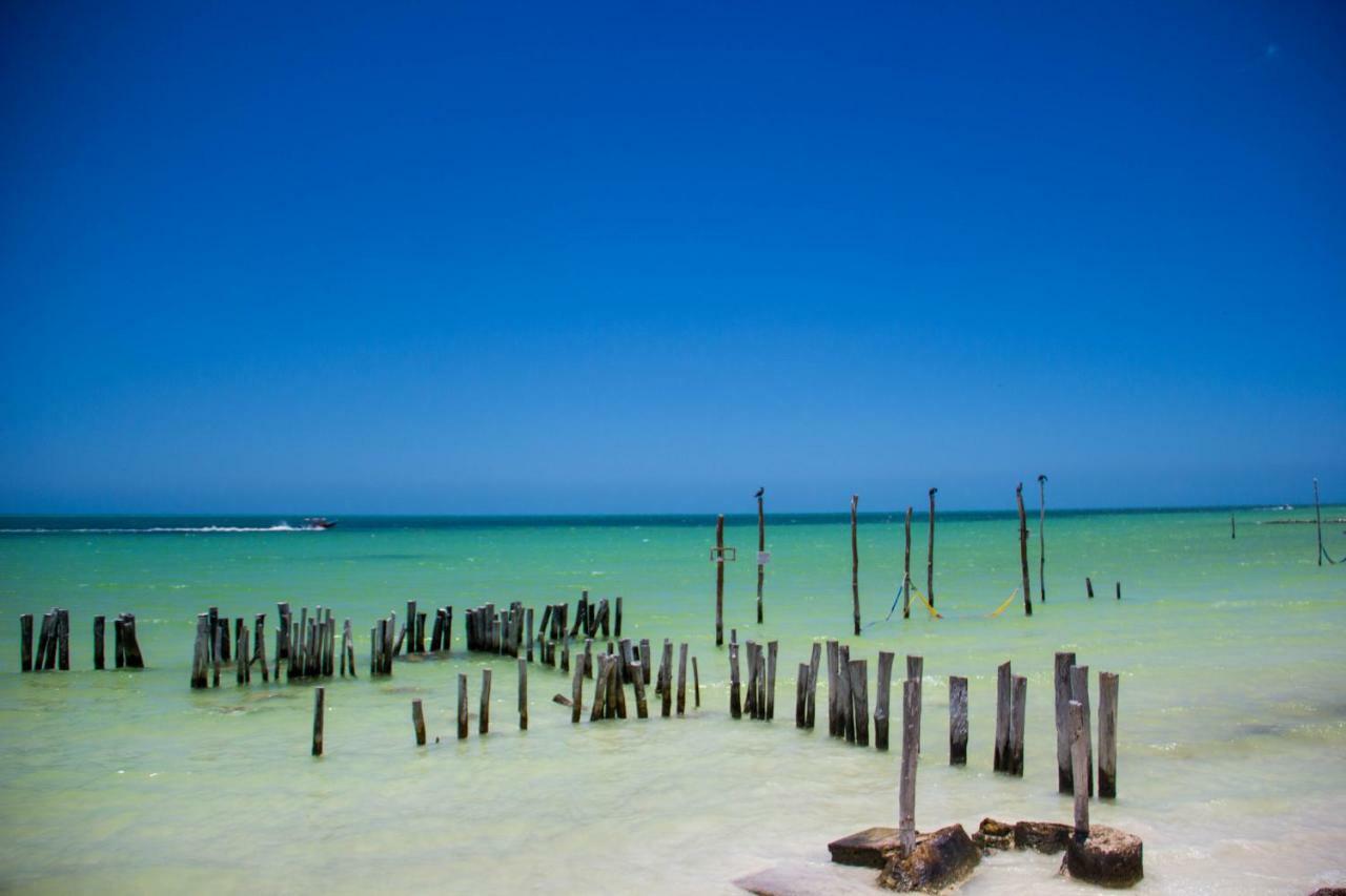 Golden Paradise Beachfront Isla Holbox Exterior photo